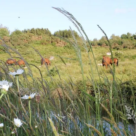 Hébergement de vacances One Of A Kind Riverside Sleeps 6ppl & 10mins From Galway