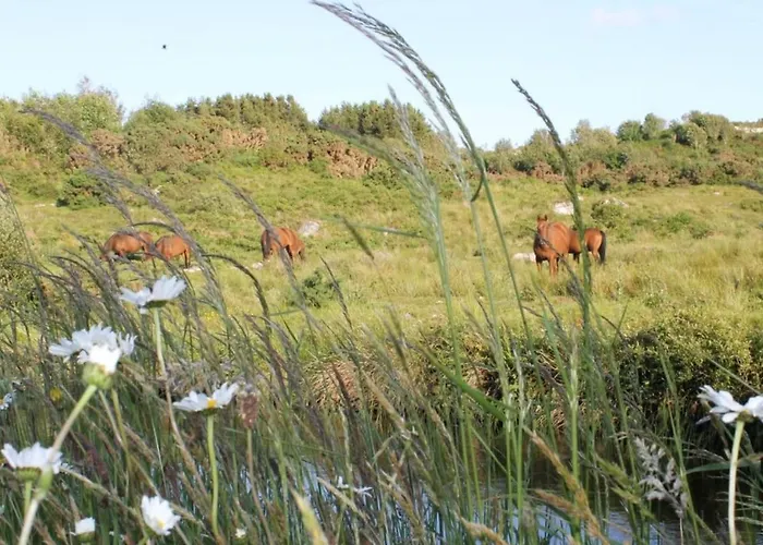 Hébergement de vacances One Of A Kind Riverside Sleeps 6ppl & 10mins From Galway